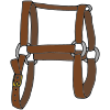 H+is+for+halter.+Horses+wear+halters+on+their+heads. Picture