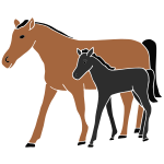 Horses Stencil