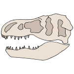 Fossil Picture