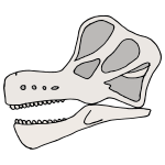 Fossil Picture