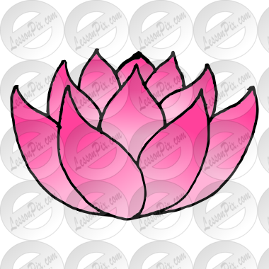 Lotus Picture