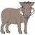 pig