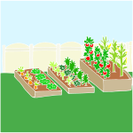 Vegetable Garden Stencil