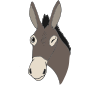 Winky Donkey  Picture