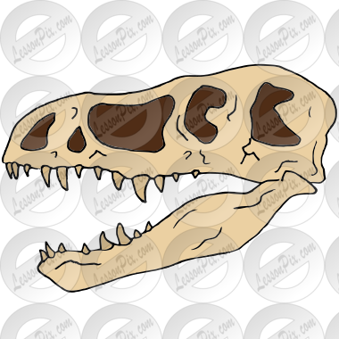 T-Rex Skull Picture for Classroom / Therapy Use - Great T-Rex Skull Clipart