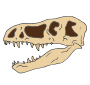 T-Rex Skull