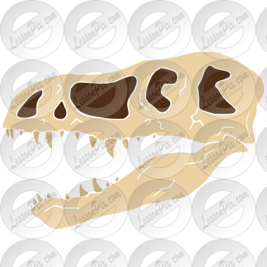 T-Rex Skull