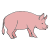 pig
