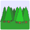 WALKING IN THE FOREST