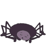 Sleepy Spider Picture