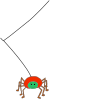 Spider+Web Picture