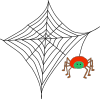 Spiderweb Picture