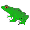 Green+Frog Picture