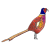 bird