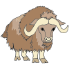 Musk+Ox%0AMusk+oxen+can+weigh+up+to+400+kilos+each. Picture