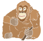 Orangutan Stencil