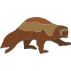 Wolverine
Wolverines will refrigerate their dead prey in the snow.