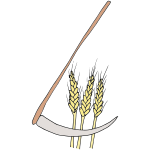 Harvest Wheat Picture