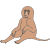 Baboon