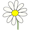 Make a flower.