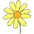 petals