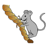 Mouse+nibbles+rope. Picture
