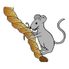 Mouse nibbles rope.