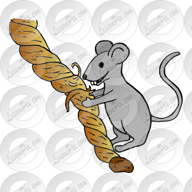 Mouse Nibbling Rope  Picture