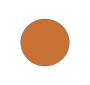 Brown Circle Picture