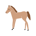 Foal Stencil