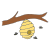bees