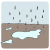 puddle