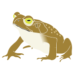Toad Stencil