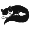 On a cat