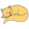 Cat+Nap Picture