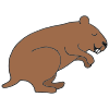 Hibernating Groundhog