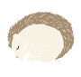 Hibernating Hedgehog Stencil