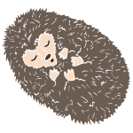 Sleeping Hedgehog Stencil