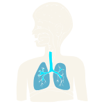 Lungs Stencil