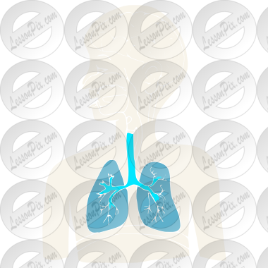 Lungs Stencil