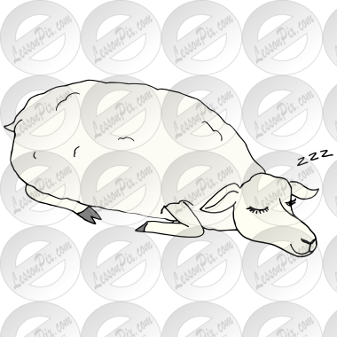 Sleepy Sheep