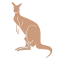 Kangaroo Stencil