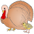 poult