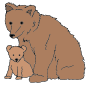 Bear and Cub Picture