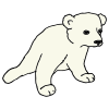 Polar+Bear+Cub Picture
