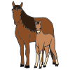 Horse+and+Foal Picture
