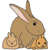 mother+bunny Picture