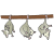 possum