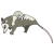 possum