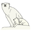 Look+at+the+polar+bear+and+cub. Picture